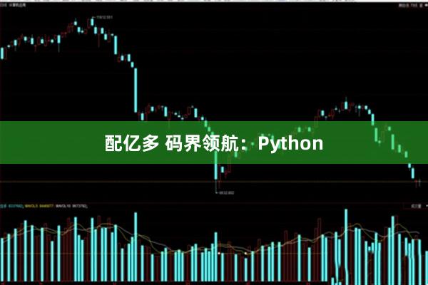 配亿多 码界领航：Python