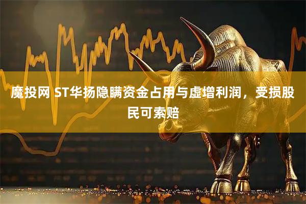 魔投网 ST华扬隐瞒资金占用与虚增利润，受损股民可索赔
