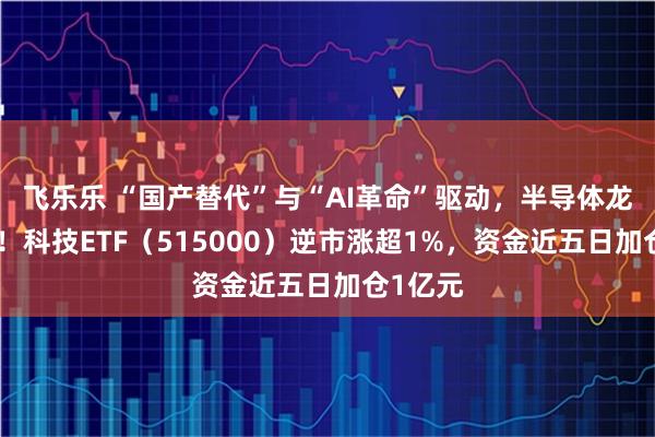 飞乐乐 “国产替代”与“AI革命”驱动，半导体龙头崛起！科技ETF（515000）逆市涨超1%，资金近五日加仓1亿元