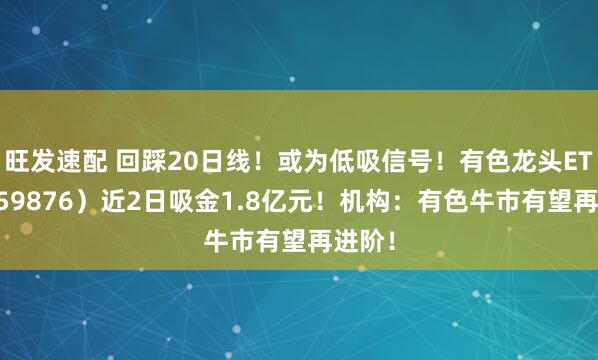 旺发速配 回踩20日线！或为低吸信号！有色龙头ETF（159876）近2日吸金1.8亿元！机构：有色牛市有望再进阶！