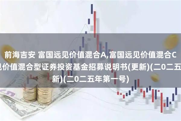 前海吉安 富国远见价值混合A,富国远见价值混合C: 富国远见价值混合型证券投资基金招募说明书(更新)(二0二五年第一号)