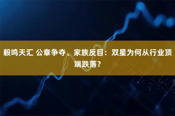 毅鸣天汇 公章争夺、家族反目：双星为何从行业顶端跌落？