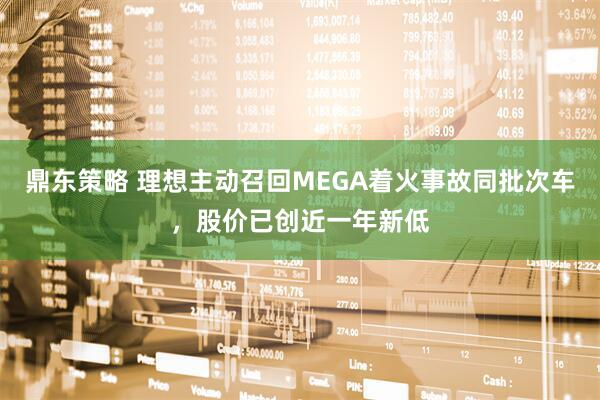 鼎东策略 理想主动召回MEGA着火事故同批次车，股价已创近一年新低