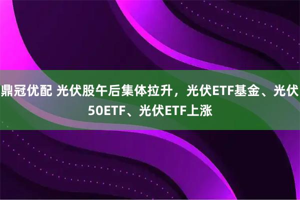 鼎冠优配 光伏股午后集体拉升，光伏ETF基金、光伏50ETF、光伏ETF上涨